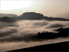 Foggy Morning in Langa ...