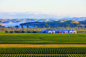 Gimblett Gravels