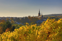 Kiedrich (Rheingau) with Autumn Leaves - www.Wein-Image.de