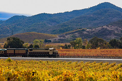 Napa Valley Wine Train