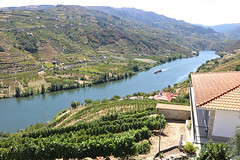 Rio Douro em Mesão Frio, Lamego e Resende