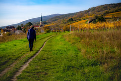 Spaziergang auf der Wiener Hochquellenleitung