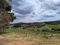 adelaide hills orchards