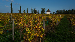 petite cabane dans les vignes - 16/9° pano