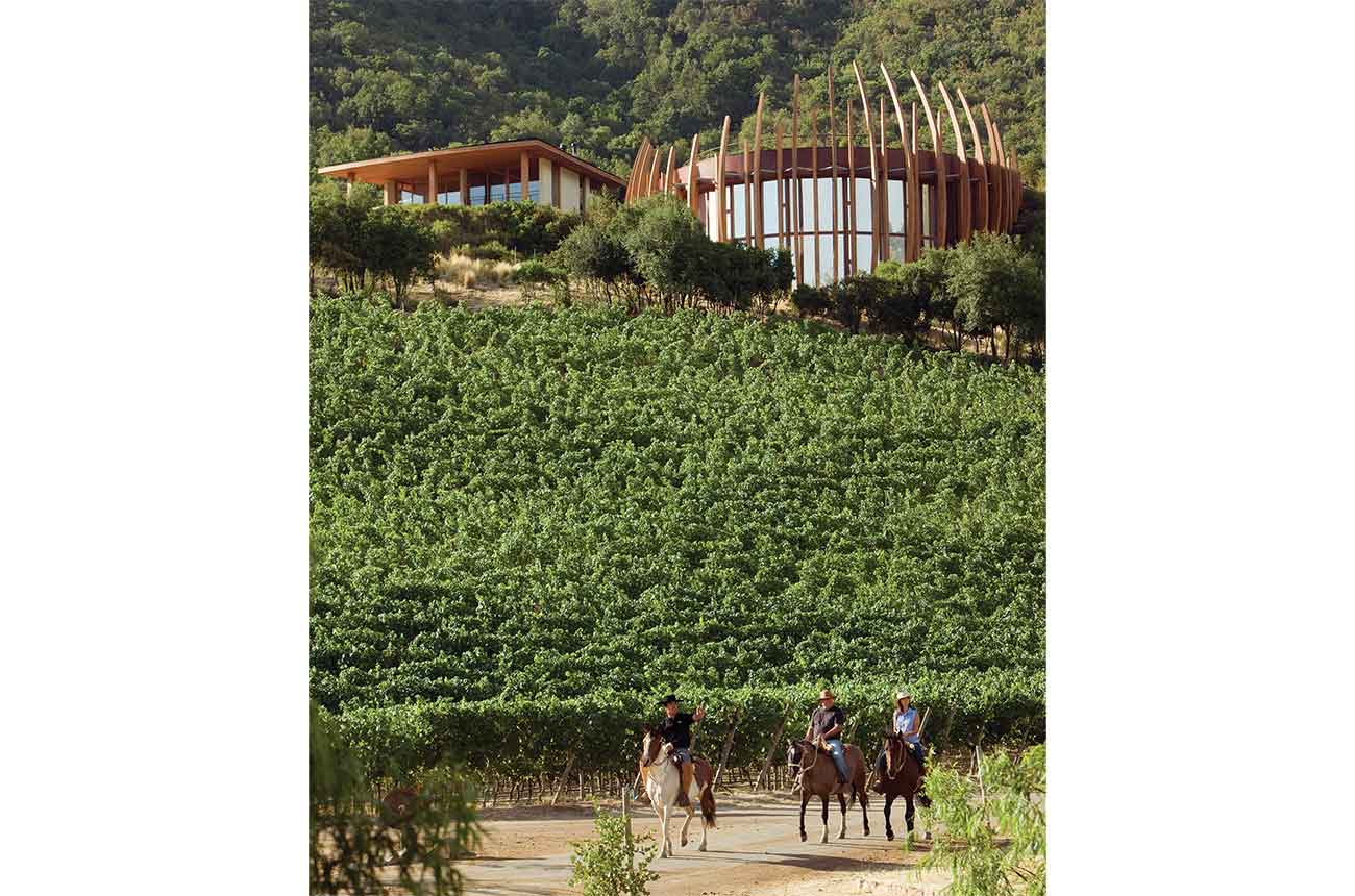 Horseback riding at Clos Apalta, Chile