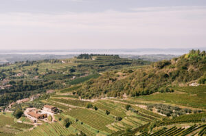 Giovanni Allegrini La Poja