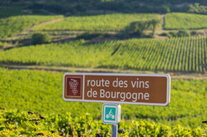 Burgundy Mâconnais vineyards near Solutré