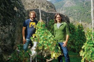 two men in vineyard