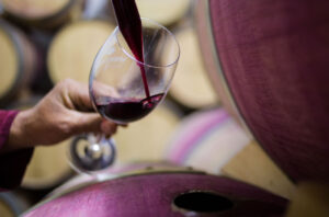 Sampling red wine from a barrel