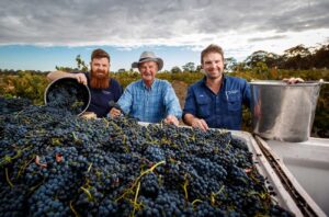 Sam Barry, Peter Barry and Tom Barry of Jim Barry Wines