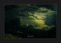 LANGHE SUNSET