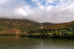 Morning Mist on the River