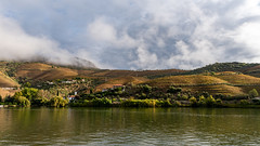 Morning on the Douro