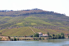 Quinta dos Frades - Folgosa - Armamar