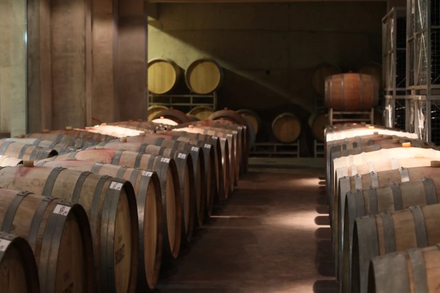 Domaine Bousquet cellars (image: Domaine Bousquet)