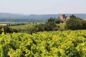 Châteauneuf-du-Pape