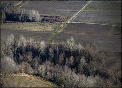 A Gorge below Novello, among the vineyards ...