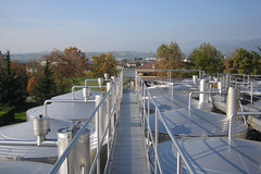 A Winery Rooftop