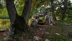 Dolmen de Curton - 16/9° pano