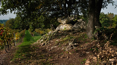 Dolmen de Curton