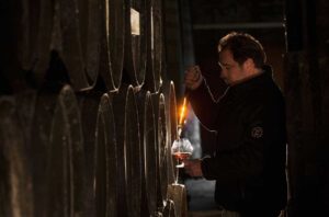 Tasting barrel samples of Armagnac at Domaine de Pellehaut