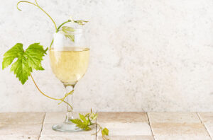 Glass of white wine on table with vine