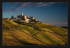 Langhe, piedmont, italy, vineyards, landscape.