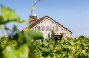 Chambertin sign, Burgundy vineyards.