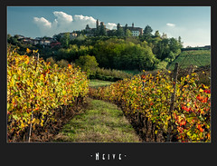 NEIVE, langhe, piedmont, italy, vineyards, landscape