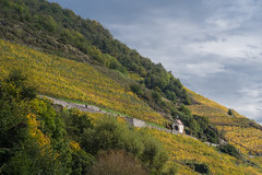 Saint-Urbain In The Vineyards