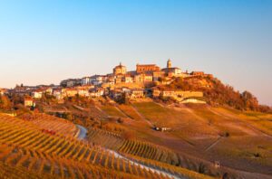 Vineyard scene in La Morra, Barolo.