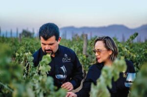 two people in vineyard