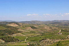 Horta do Douro - Vila Nova de Foz Côa