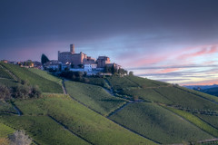 Langhe, piedmont, italy, vineyards, castle, landscape
