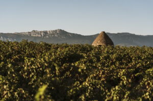 La Rioja Alta Gran Reserva 890