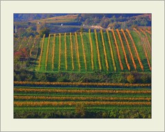 Wachau - Ried Vorderseiber