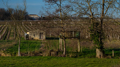 cabane et maison girondine proche de St-Émilion