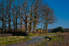 en balade à vélo dans le grand Libournais