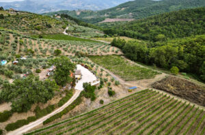 Isola delle Falcole's vineyards are in Greve in Chianti