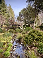 Winery garden