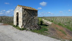 Cabane dans les vignes
