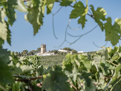CASTILLO DE MACHARNUDO