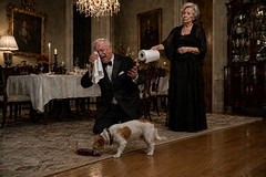 Crying Over Spilt Wine