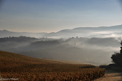 In campagna una mattina