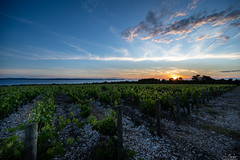 Kraljevski Vinogradi - Petr?ane - Croatia