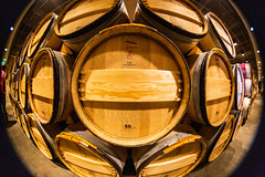 Mondavi