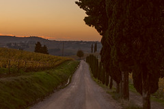 Rincasando di sera