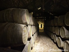 Sandeman Cellars, Porto, Portugal.