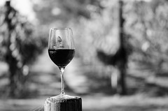 Wine Glass #56