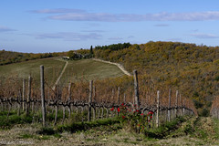 Autunno a Radda in Chianti
